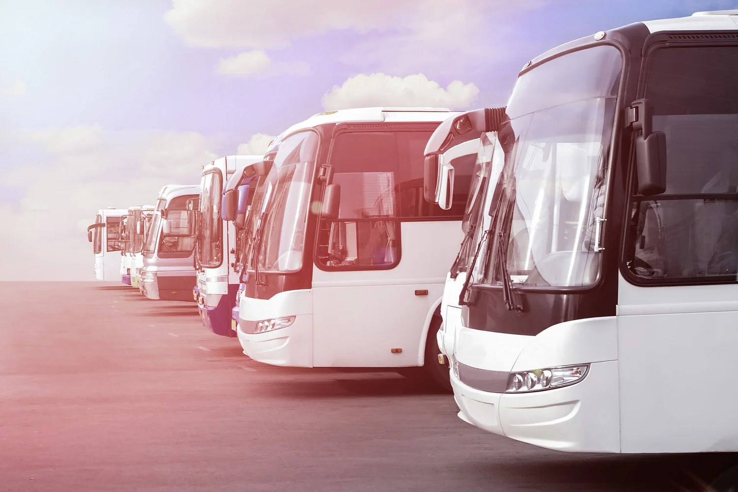 Bus page d'accueil 
